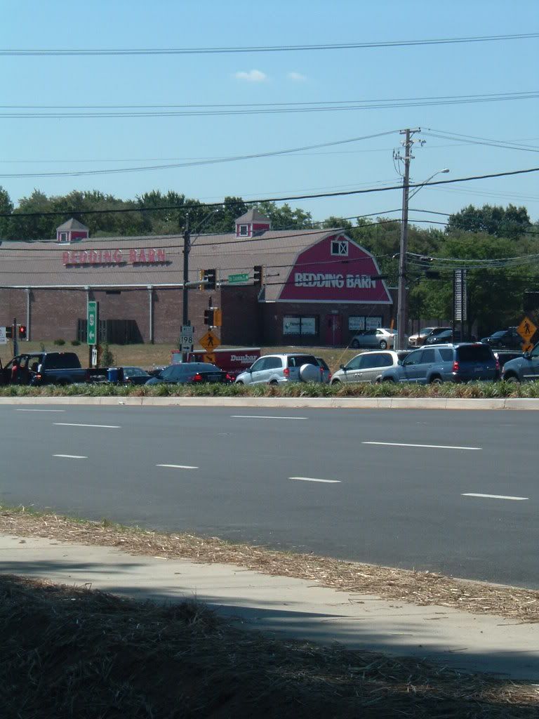 just up the pike the citizens, involved in burtonsville's future